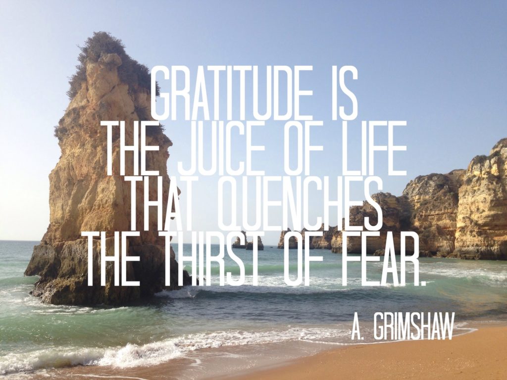 Gratitude is the juice of life that quenches the thirst of fear.
